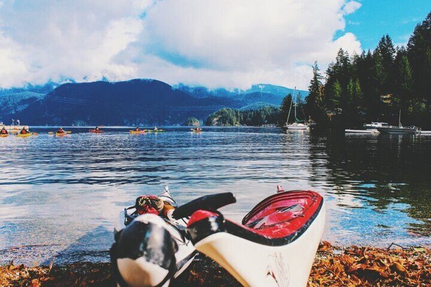 6-Hour Private Tour in Lynn Canyon and Deep Cove with Pickup