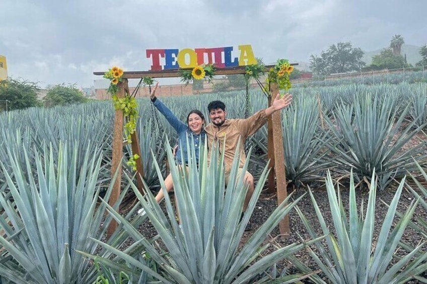 Tour in fields