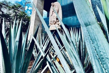 Cultural tour, city fields and distillery