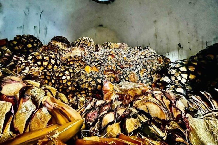 Cooked Agave