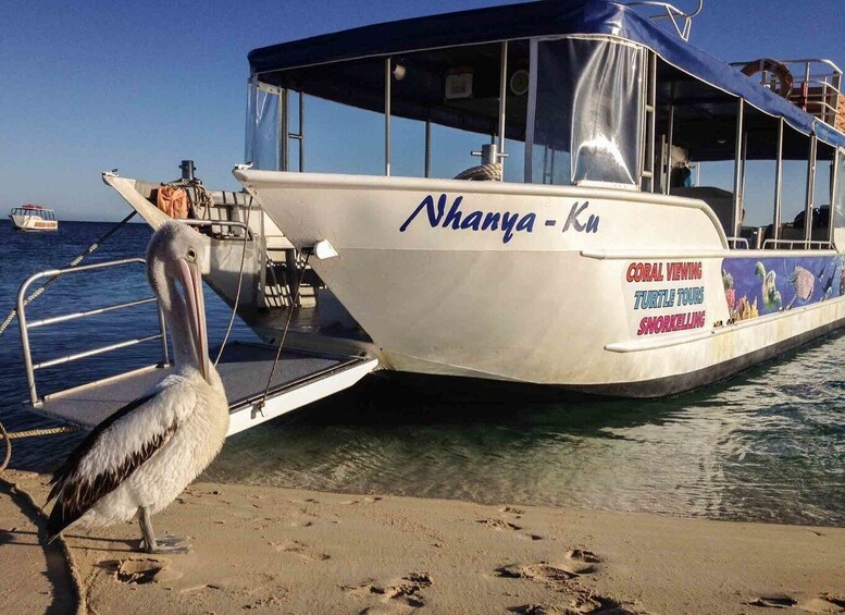 Picture 1 for Activity Coral Bay Glass-Bottom Boat Tour