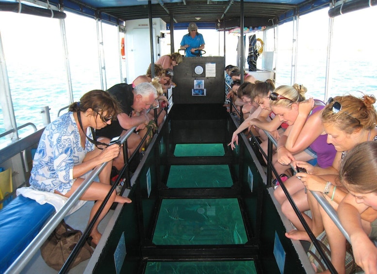 Picture 2 for Activity Coral Bay Glass-Bottom Boat Tour