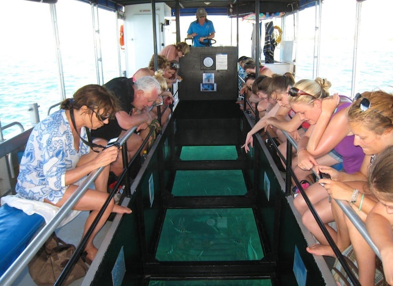 Picture 2 for Activity Coral Bay Glass-Bottom Boat Tour