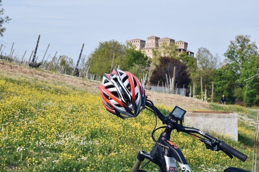 Half Day Private E bike Tour in Parma