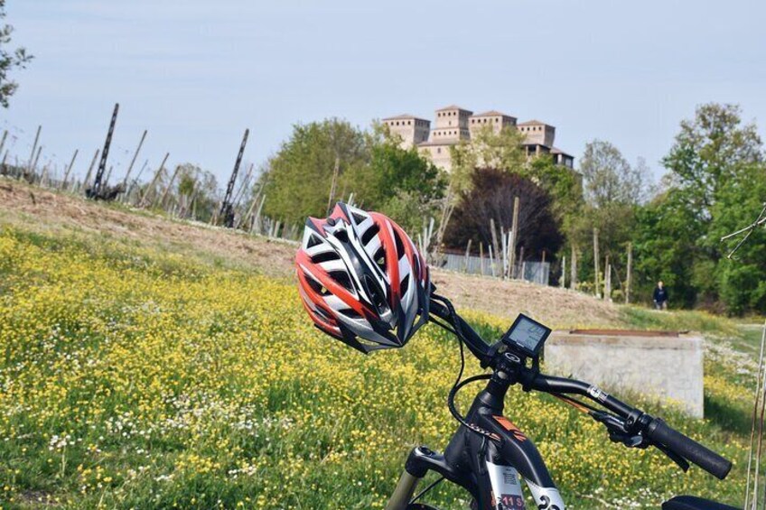 Half Day Private E bike Tour in Parma