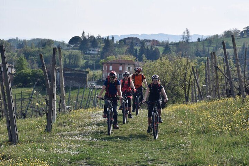 Half Day Private E bike Tour in Parma