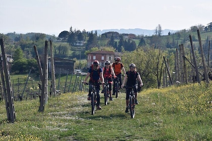 Half Day Private E bike Tour in Parma