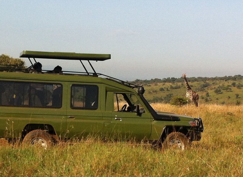 Picture 1 for Activity From Kigali: 1-Day Akagera National Park Safari