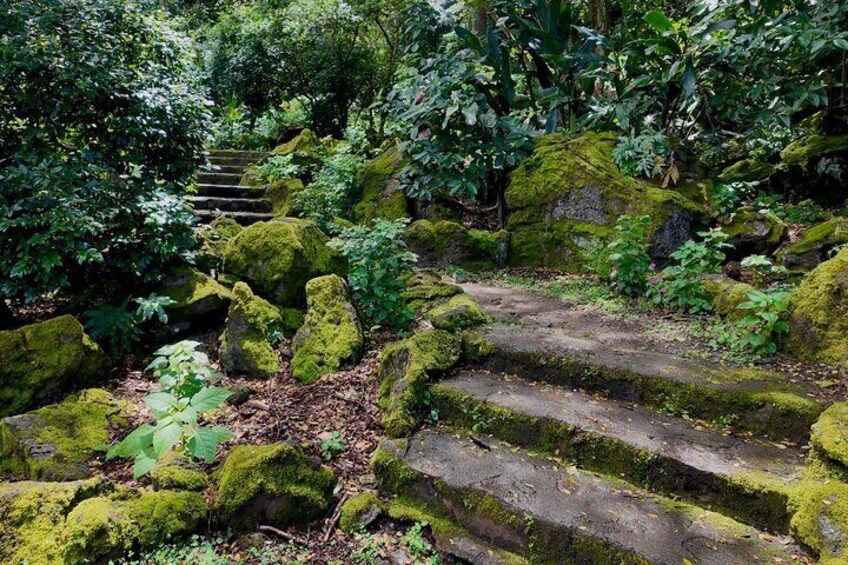 Private North Shore Oahu Tour Waimea Valley Waterfall 1-6 people