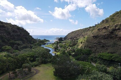 Private Tour Oahu feat. Waimea Valley & Waterfall-Customizable