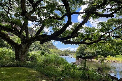 Private Tour Oahu North Shore Waimea Falls & Garden-Customizable