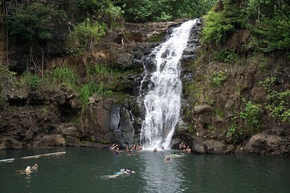 Private North Shore Tour- Waimea Valley & Waterfall- Customisable