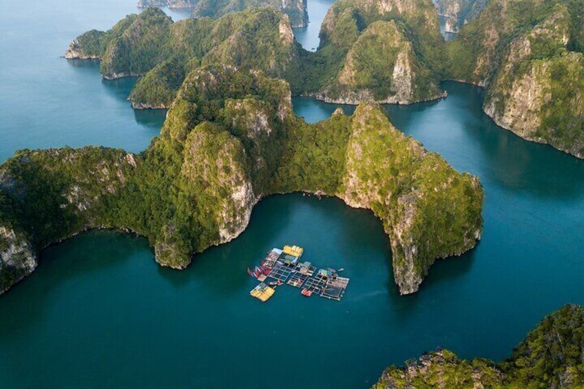 Halong Bay Scenic Seaplane and Luxury Day Cruise From Tuan Chau