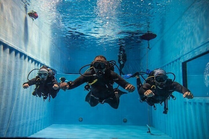 Private 2 Days PADI Scuba Diver Course in Dubai