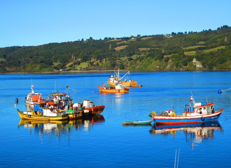 Picture 7 for Activity Puerto Varas: FullDay Chiloe Island Tour Castro and dalcahue