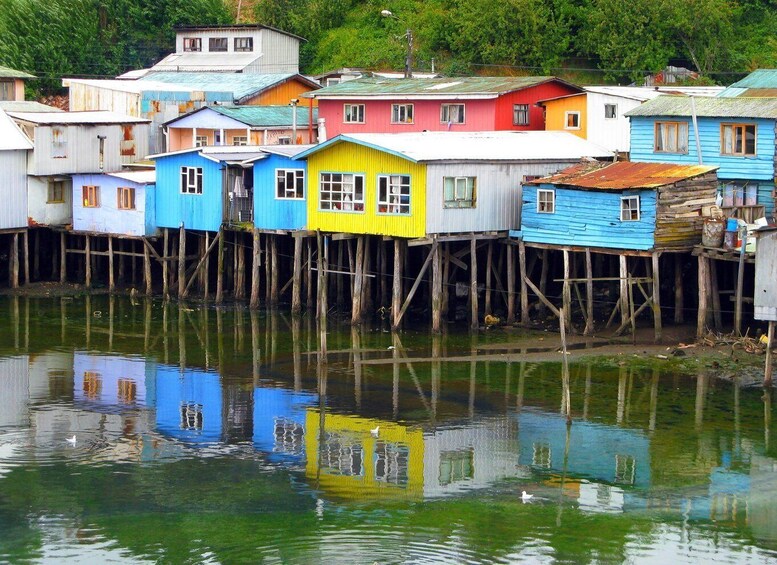 Picture 5 for Activity Puerto Varas: FullDay Chiloe Island Tour Castro and dalcahue