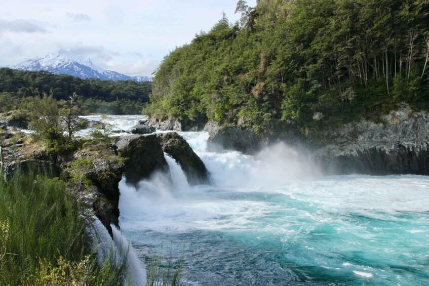 Picture 5 for Activity Puerto Varas: Osorno Volcano, Petrohue Falls Full-day Trip