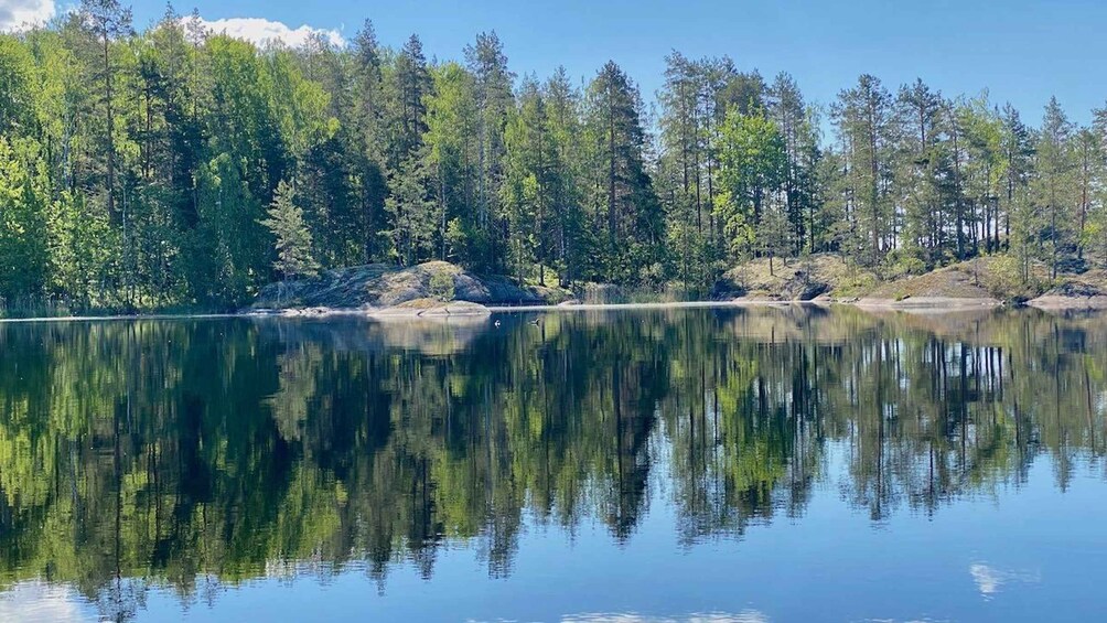 Picture 5 for Activity Puumala: Lake Saimaa Seal Watching Cruise