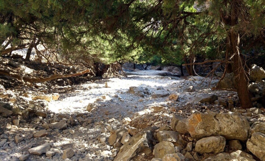 Picture 4 for Activity From Rethymno/Chania: Imbros Gorge Hike