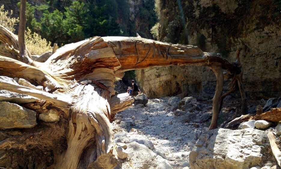Picture 6 for Activity From Rethymno/Chania: Imbros Gorge Hike
