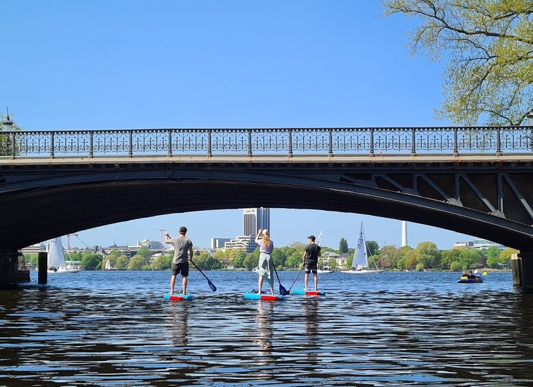 Hamburg: Stand Up Paddling - SUP Board Rental