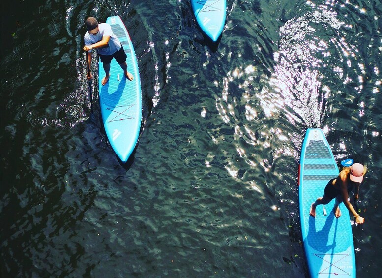 Picture 5 for Activity Hamburg: Stand Up Paddling - SUP Board Rental