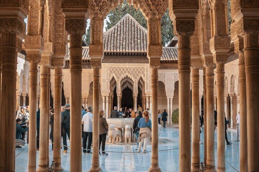 Alhambra & Nasrid Palaces: Skip-the-line Ticket & Private Guide