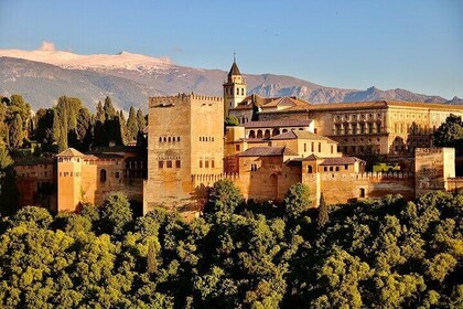 Alhambra y Palacios Nazaríes: entrada sin colas y guía local