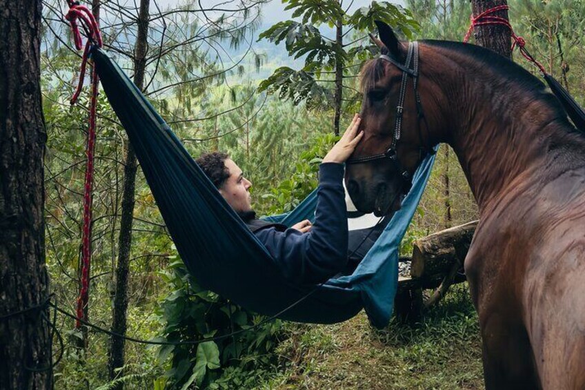 100-Year-Old family Finca Adventure: Horseback Riding & More