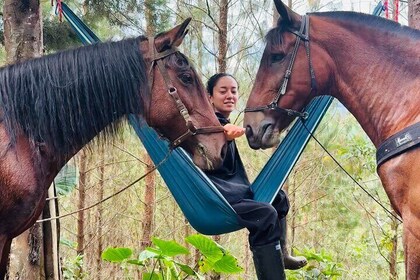 100-Year-Old family Finca Adventure: Horseback Riding & More