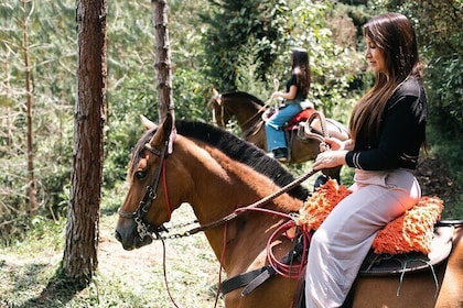 Medellin Day Trip Horseback Riding Local Food Cultural Immersion
