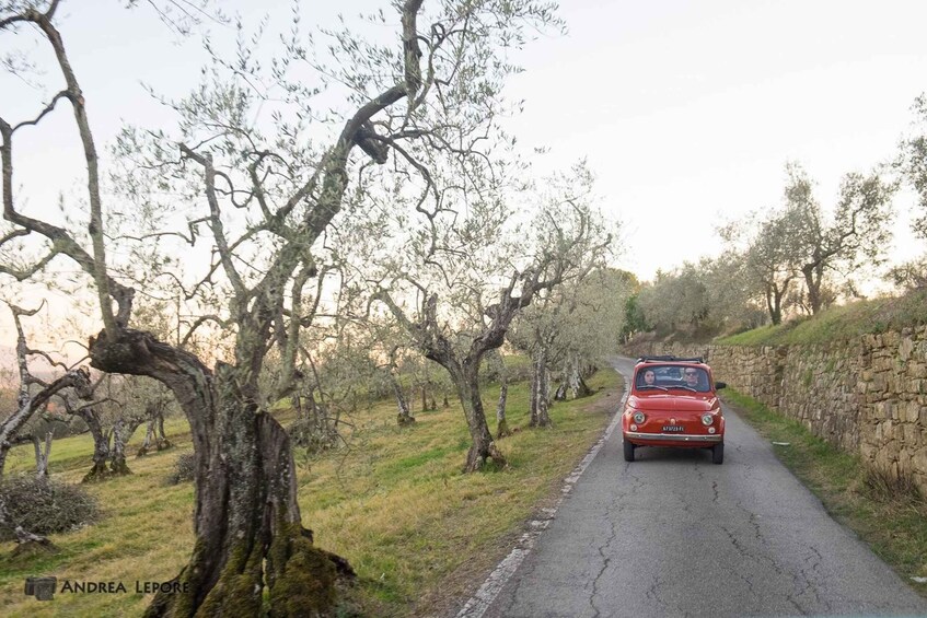 Picture 6 for Activity 3-hour Vintage FIAT 500 Chianti Classico private Wine Tour