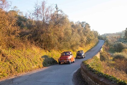 ทัวร์ไวน์ส่วนตัวแบบวินเทจ FIAT 500 Chianti Classico 3 ชั่วโมง