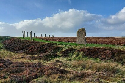 Dagtocht naar Orkney