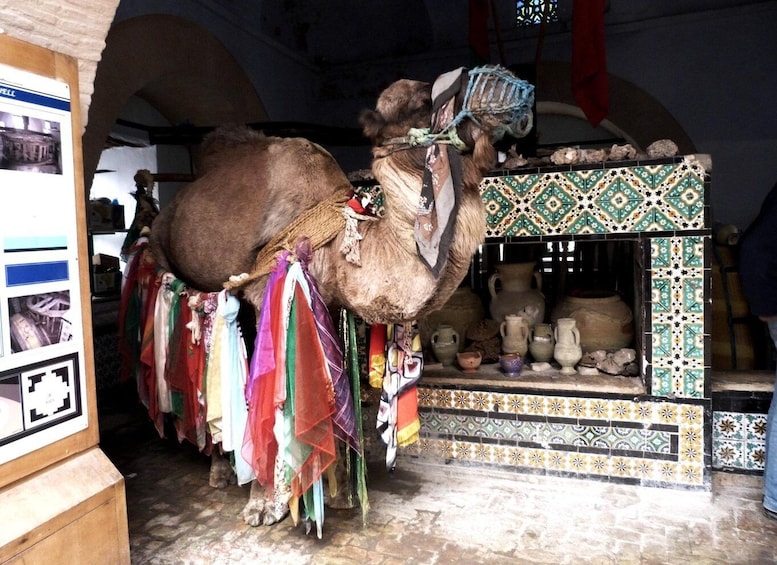 Picture 3 for Activity From Tunis, Hammamet, or Sousse: Private Kairouan Day Trip