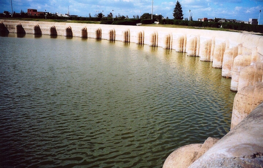 Picture 4 for Activity From Tunis, Hammamet, or Sousse: Private Kairouan Day Trip