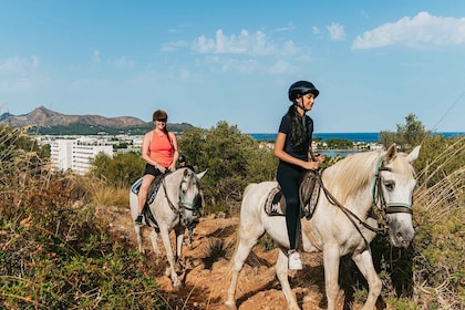 Mallorca: experiencia de montar a caballo con opciones de comida