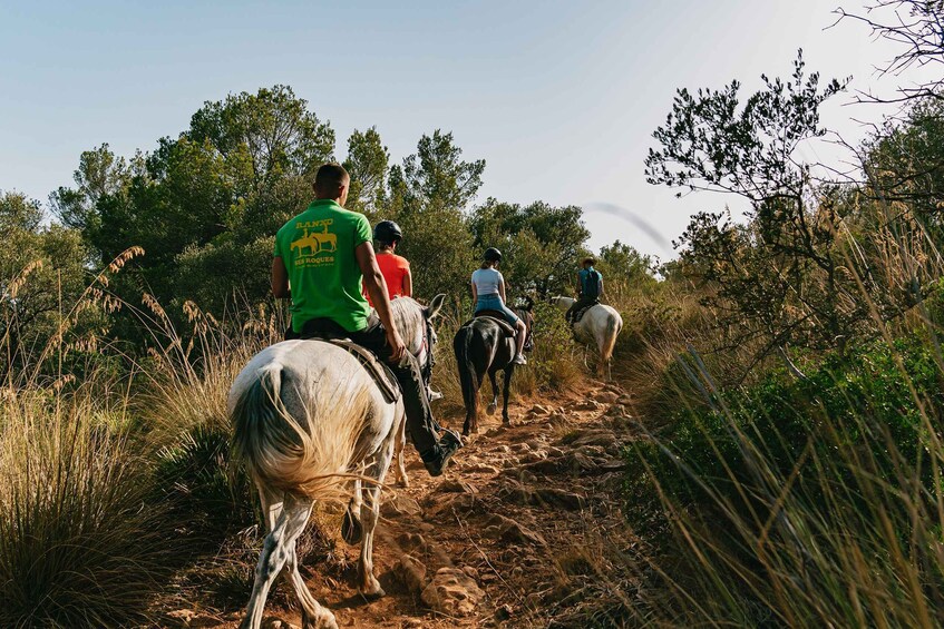 Picture 8 for Activity Mallorca: Horseback Riding Experience with Food Options