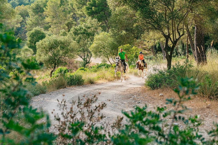 Picture 14 for Activity Mallorca: Horseback Riding Experience with Food Options