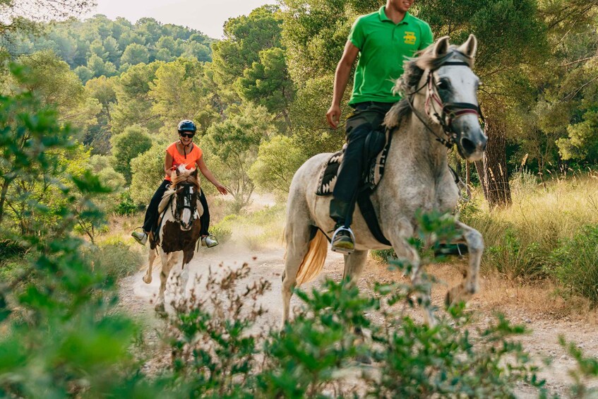 Picture 2 for Activity Mallorca: 2-Hour Mountain Horse Riding Experience