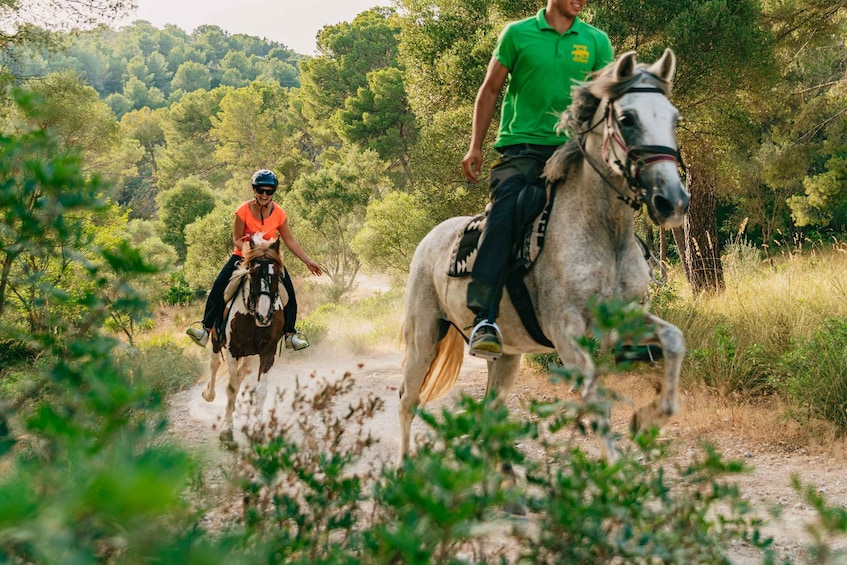 Picture 2 for Activity Mallorca: 2-Hour Mountain Horse Riding Experience