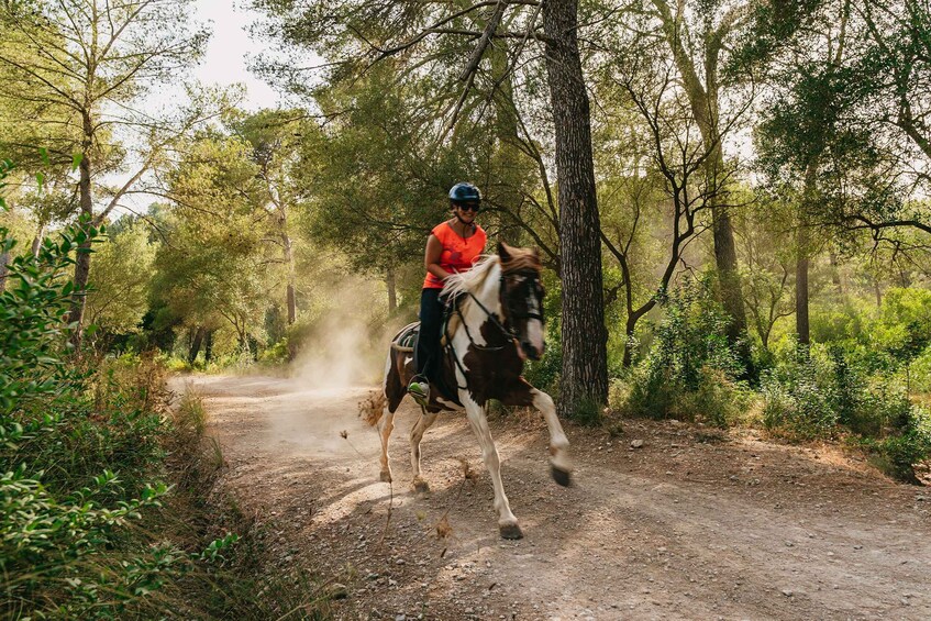 Picture 15 for Activity Mallorca: Horseback Riding Experience with Food Options