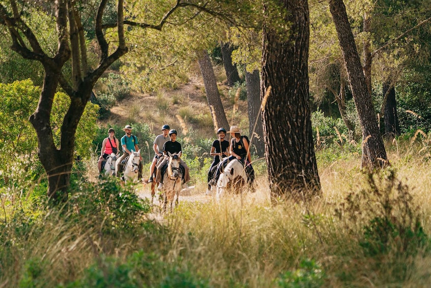 Picture 11 for Activity Mallorca: 2-Hour Mountain Horse Riding Experience
