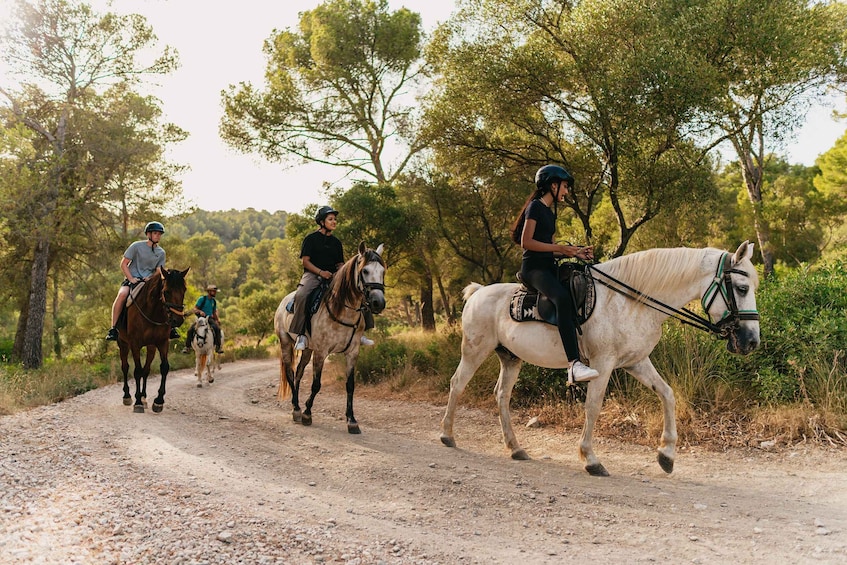 Picture 12 for Activity Mallorca: 2-Hour Mountain Horse Riding Experience
