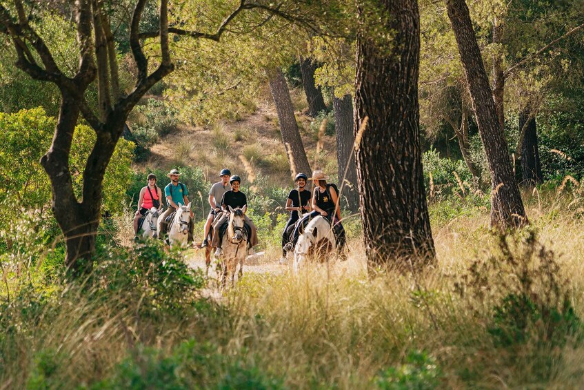 Picture 12 for Activity Mallorca: Horseback Riding Experience with Food Options