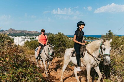 Mallorca: Rideopplevelse med matalternativer