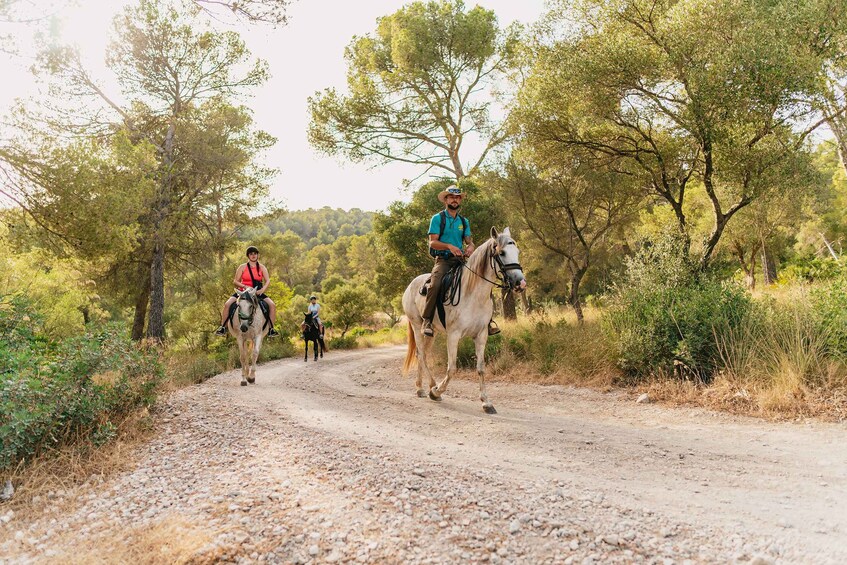 Picture 1 for Activity Mallorca: Horseback Riding Experience with Food Options