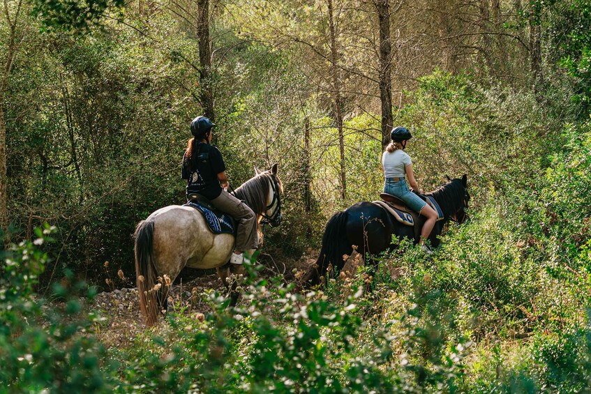 Picture 11 for Activity Mallorca: Horseback Riding Experience with Food Options