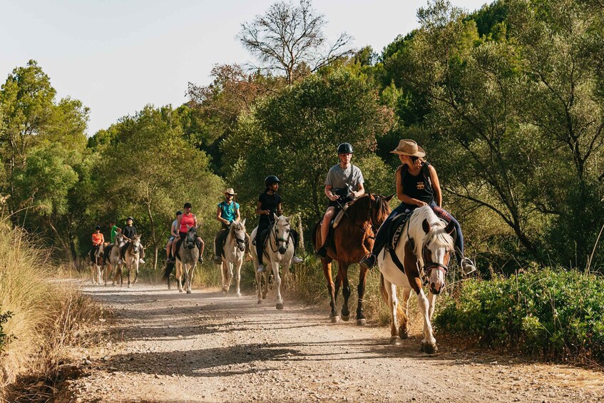 Picture 7 for Activity Mallorca: Horseback Riding Experience with Food Options