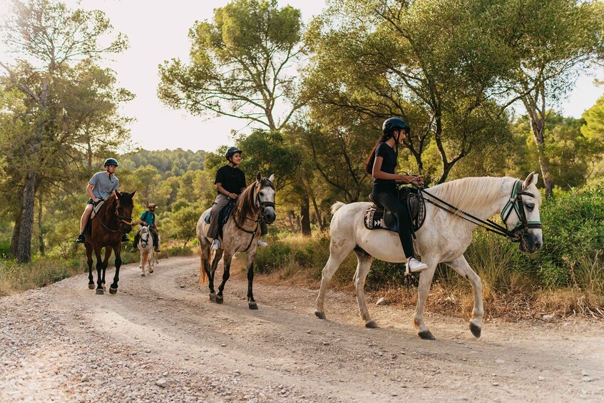 Picture 13 for Activity Mallorca: Horseback Riding Experience with Food Options